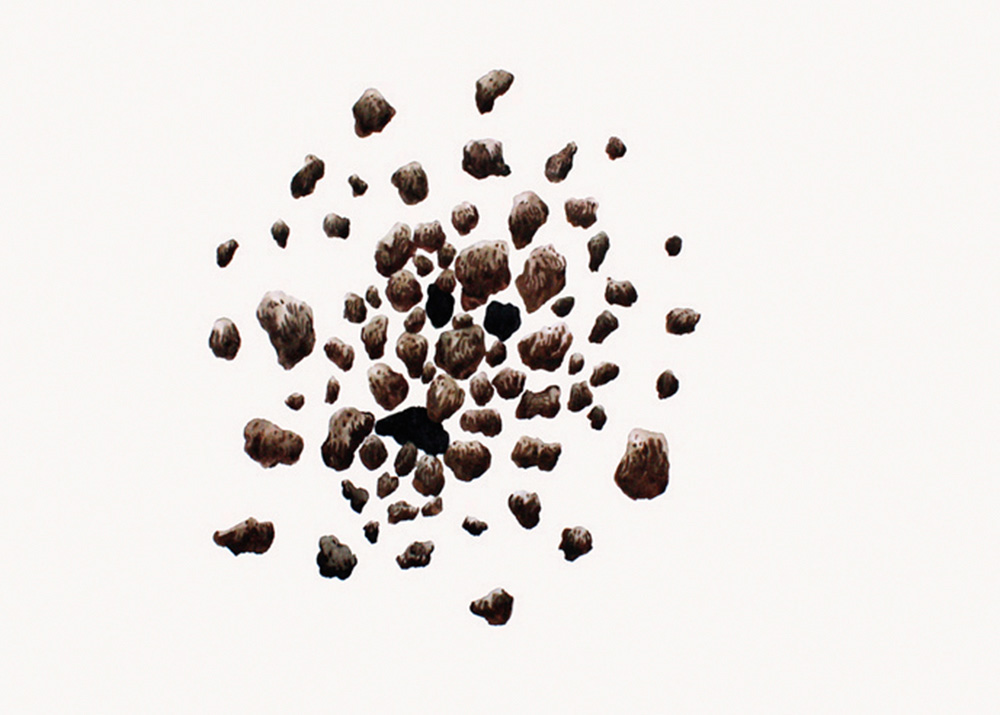 2009x4855